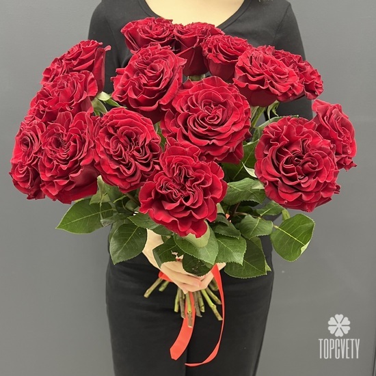 Букет из 15 красных роз пионовидных