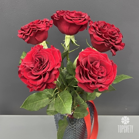 Букет из 5 красных роз пионовидных 60см