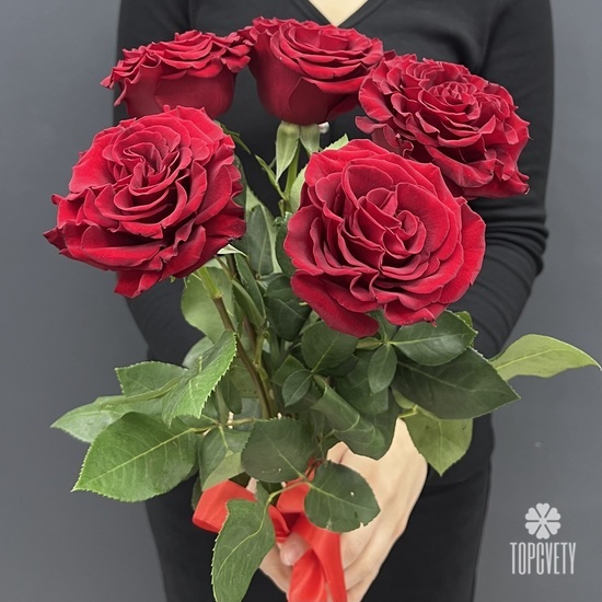Букет из 5 красных роз пионовидных 60см