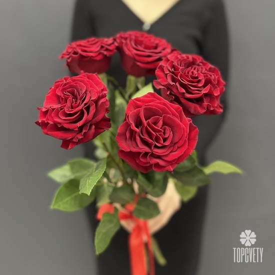 Букет из 5 красных роз пионовидных 60см