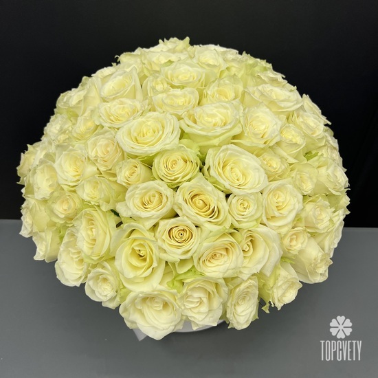 Композиция из 101 белой розы в коробке 