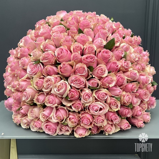 Букет из 201 розовой розы 